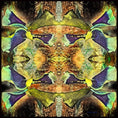 Load image into Gallery viewer, "Doch" Silk Scarf
