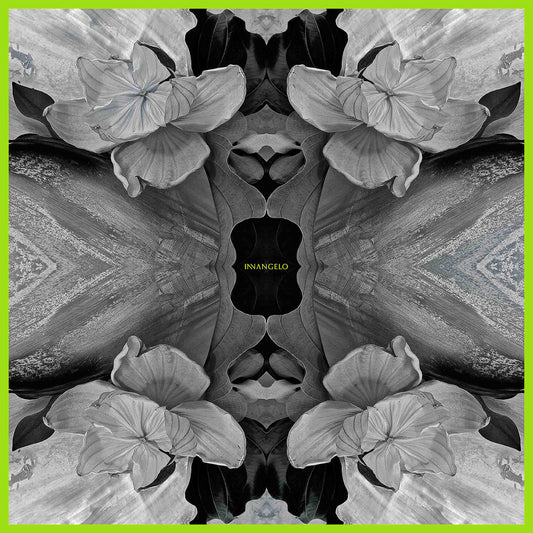 “Monochrome“ Silk Scarf