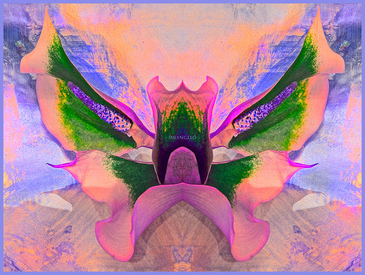 “Fantôme de Paradis” Silk Shawl