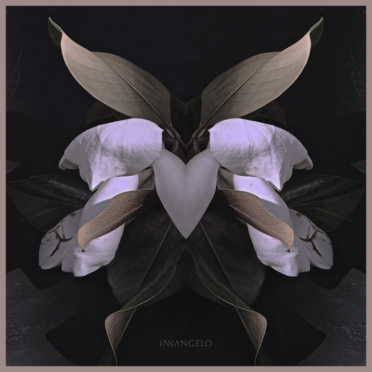 Silk Scarf Magnolia Noir